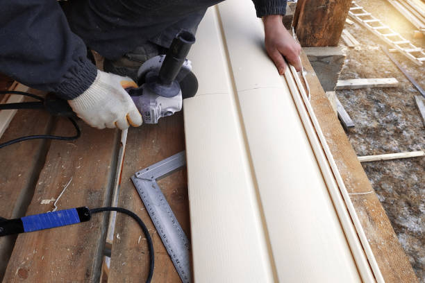 Best Siding Removal and Disposal  in Womelsdorf, PA
