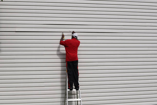 Best Insulated Siding Installation  in Womelsdorf, PA